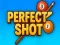 Gêm Perfect Shot ar-lein