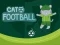 Gêm Cat Football ar-lein