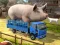 Gêm Driver Master Simulator ar-lein
