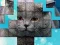 Gêm PicPu Cat ar-lein