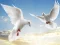 Gêm Flying Birds ar-lein