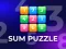 Gêm Sum Puzzle: Arithmetic ar-lein