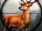 Gêm Safari Animal Hunter ar-lein
