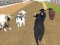 Gêm Angry Bull Racing ar-lein