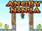 Gêm Angry Ninja ar-lein