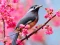 Gêm Lovable Birds ar-lein