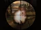 Gêm Classical Rabbit Sniper Hunting 2019 ar-lein