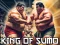 Gêm King Of Sumo the ultimate brawl ar-lein