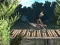 Gêm Bike Trial Xtreme Forest ar-lein
