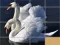 Gêm Animals Slide Puzzle ar-lein