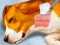 Gêm Dog Hospital ar-lein