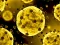 Gêm Coronavirus Slide ar-lein