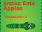 Gêm Snake Eats Apples ar-lein