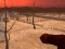 Gêm Wasteland Shooters ar-lein