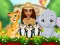 Gêm Moana Cute Zoo ar-lein