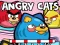Gêm Angry Cats ar-lein