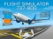 Gêm Flight Simulator 737-800 ar-lein