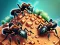 Gêm Ant Colony ar-lein