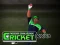 Gêm Cricket Fielder Challenge ar-lein