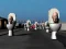 Gêm Hunt Skibidi Toilet ar-lein