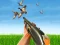 Gêm Bird Hunting ar-lein