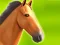 Gêm Horse Run 3D ar-lein