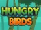 Gêm Hungry Birds ar-lein
