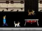 Gêm Streamer Fashion Run ar-lein