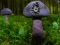Gêm Mushroom Forest Adventure ar-lein