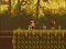 Gêm The Lost Forest ar-lein