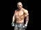 Gêm Fight Arena Online ar-lein