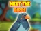 Gêm Meet The Birds ar-lein