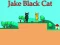 Gêm Jake Black Cat ar-lein