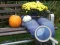 Gêm Autumn Garden Find 100 butterflies ar-lein