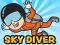 Gêm Skydiver ar-lein