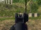 Gêm Army Shooter ar-lein