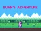 Gêm Bunn's Adventure ar-lein