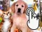 Gêm Pets Clicker ar-lein