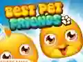 Gêm Best Pet Friends ar-lein