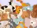 Gêm Find The Kitty ar-lein