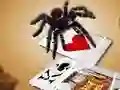 Gêm Jumping Spider ar-lein