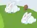Gêm Crazy Eggs ar-lein