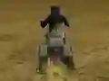 Gêm Real Moto Stunts Challenge ar-lein