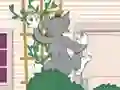 Gêm Tom und Jerry: Wasserbomben Wahnsinn ar-lein
