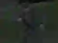 Gêm Soviet Sniper ar-lein