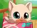 Gêm My Pocket Pets Kitty Cat ar-lein