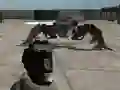 Gêm Mech Aggression ar-lein