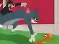 Gêm Tom and Jerry: Chasing Jerry ar-lein