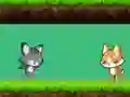 Gêm Cat vs Dog ar-lein
