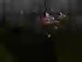 Gêm Zombie Survival ar-lein